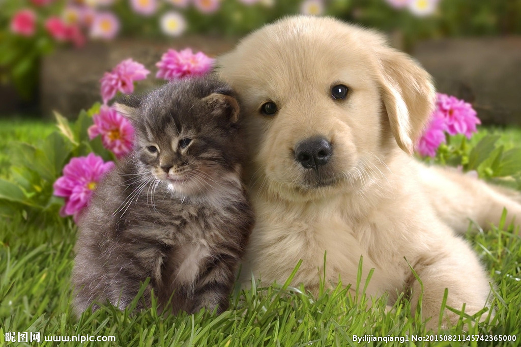 LOVE FOREVER